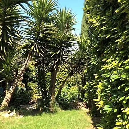 Parentale étang De Thau 4* Bouzigues